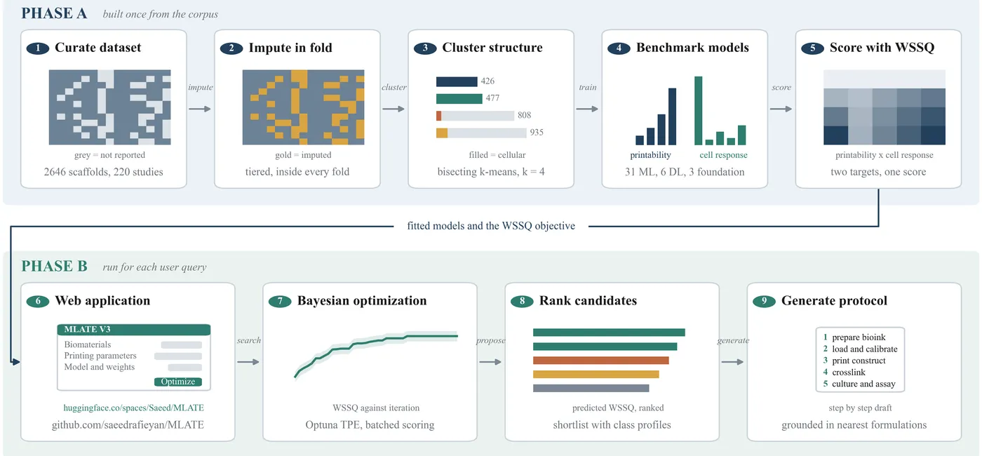 The MLATE V3 pipeline. Phase A is built once from the literature corpus, including data gathering, data imputation, clustering, classification, and WSSQ definition. Phase B runs for each user query, including web app development, bioink  optimization, and protocol generation.