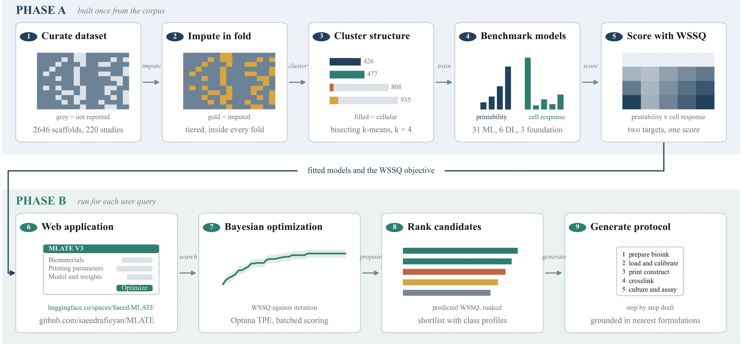 Overview of the MLATE V3 workflow in two phases. Phase A is built once from the literature corpus: curate a dataset of 2,646 scaffolds from 220 studies, impute missing values within each cross-validation fold, cluster the data, benchmark machine learning, deep learning and foundation models for printability and cell response, and combine both predictions into the WSSQ score. Phase B runs for each user query: the web application, Bayesian optimisation of the WSSQ score, a ranked shortlist of candidates and a step-by-step draft fabrication protocol.